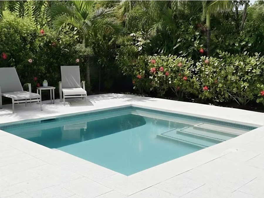 Piscina Caimán Plunge de Forze Corp.