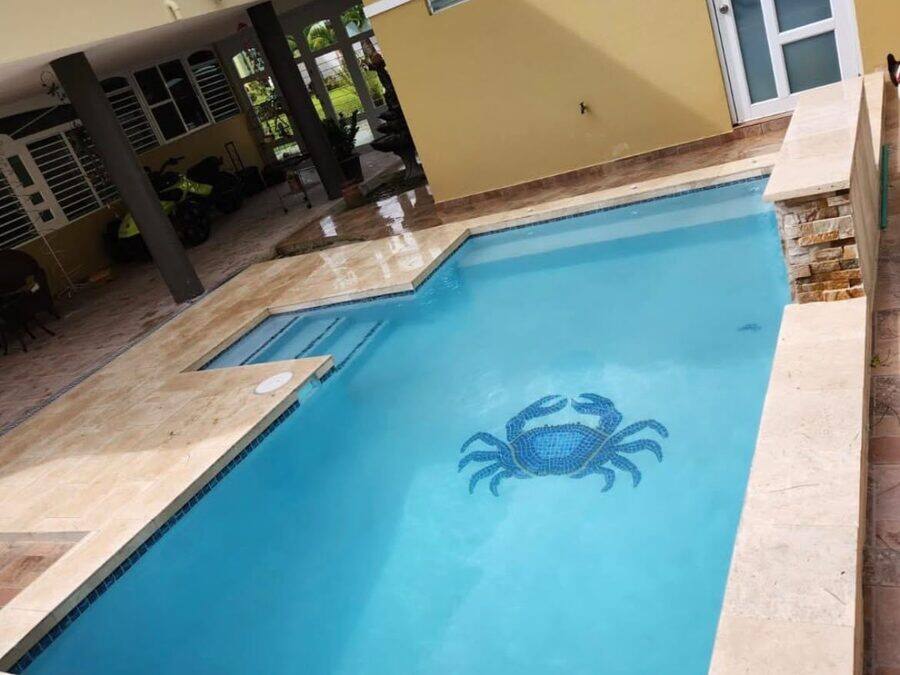 Piscina alargada con mosaico decorativo en el fondo